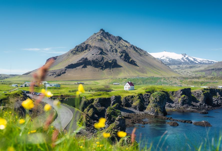 A white house with a red roof sits near cliffs by the water, with a mountain and snow-capped peak in the background under a clear blue sky. Yellow wildflowers are in the foreground.